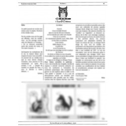 L'encre du hibou n°1